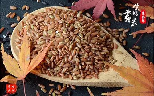 ���o��ؕ��