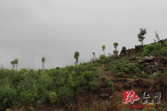 �������R�����a�Vɽ���N�f(w��n)���������֡�