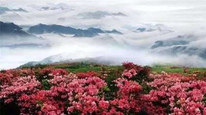 ����ɽ�L(f��ng)���^(q��)