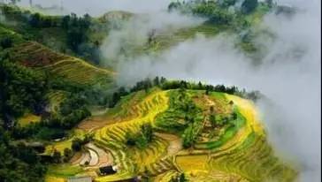 ���o������