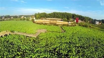 ����(gu��)���ʾ�